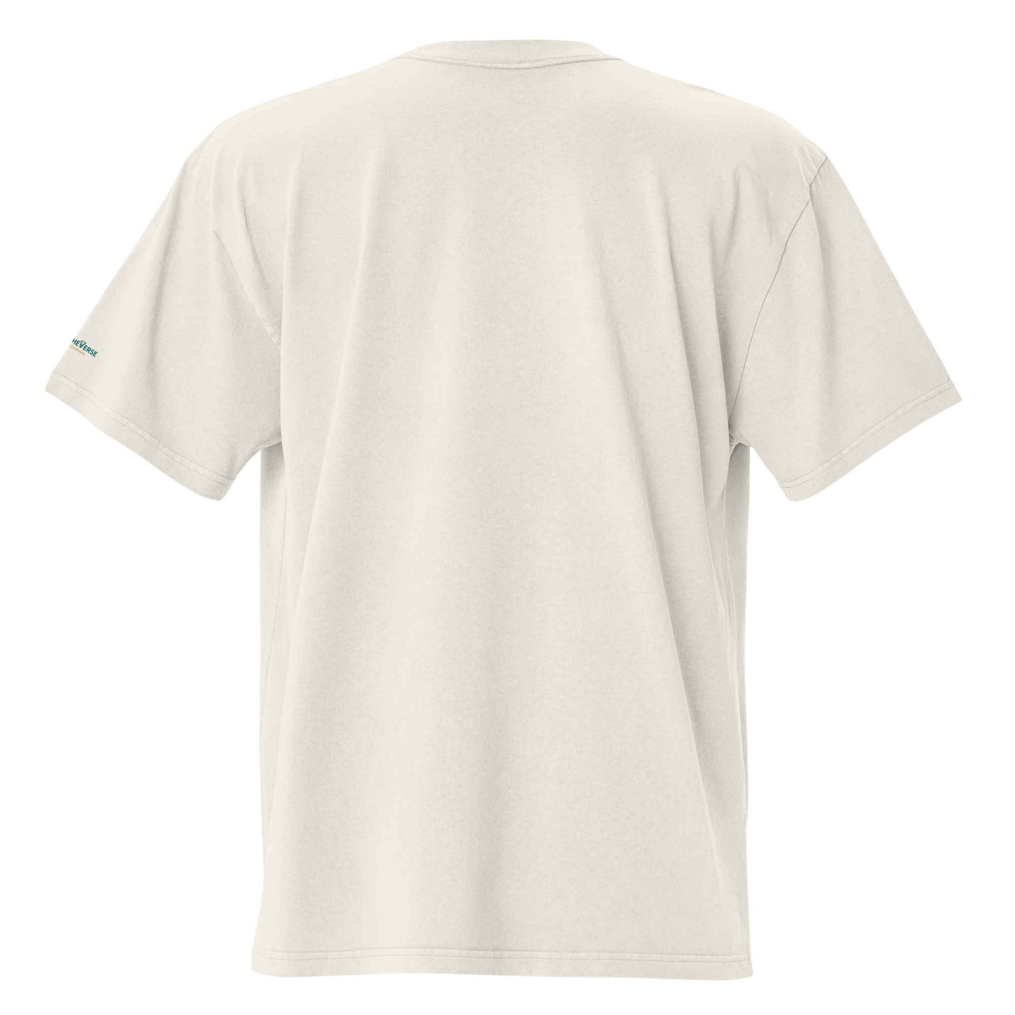 oversized-faded-t-shirt-faded-bone-back-69598836e2517.jpg
