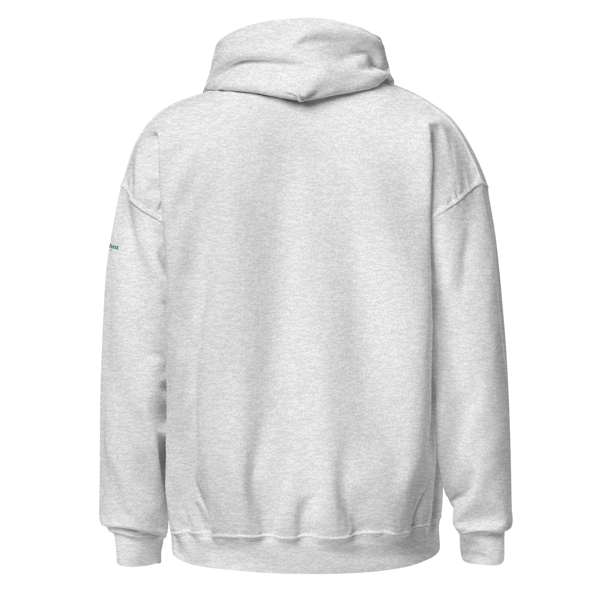 unisex-heavy-blend-hoodie-ash-back-69598f96bbb1d.jpg