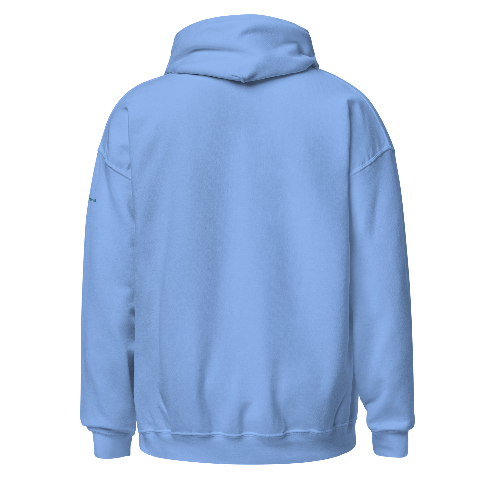 unisex-heavy-blend-hoodie-carolina-blue-back-69598f96bbc09.jpg