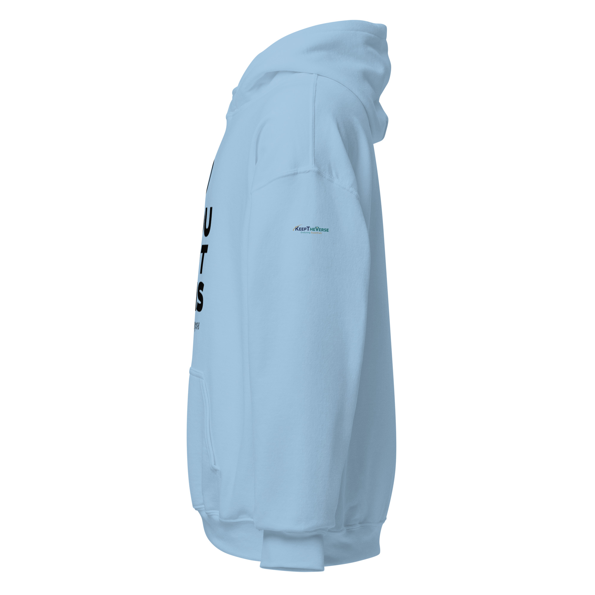 unisex-heavy-blend-hoodie-light-blue-left-69598f96bcd3b.jpg