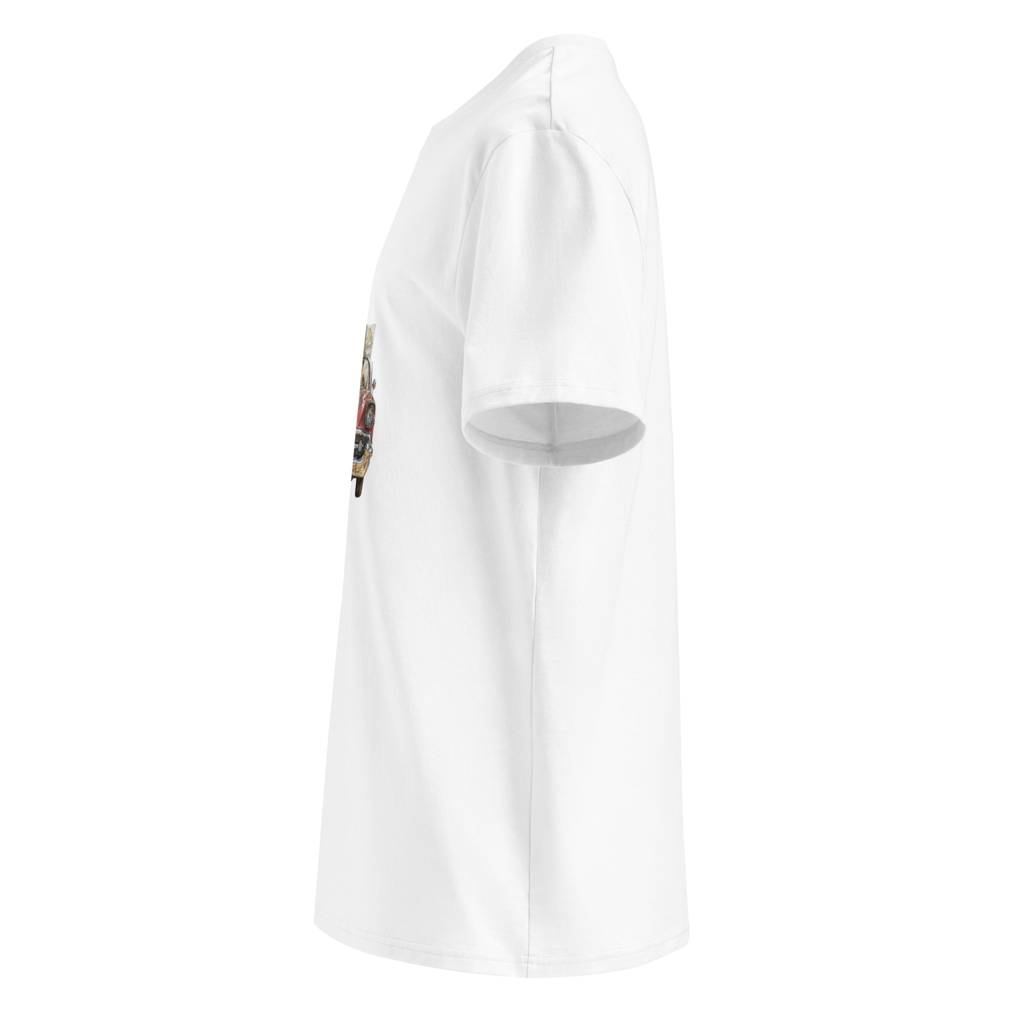 unisex-organic-cotton-t-shirt-white-left-69598e2258359.jpg