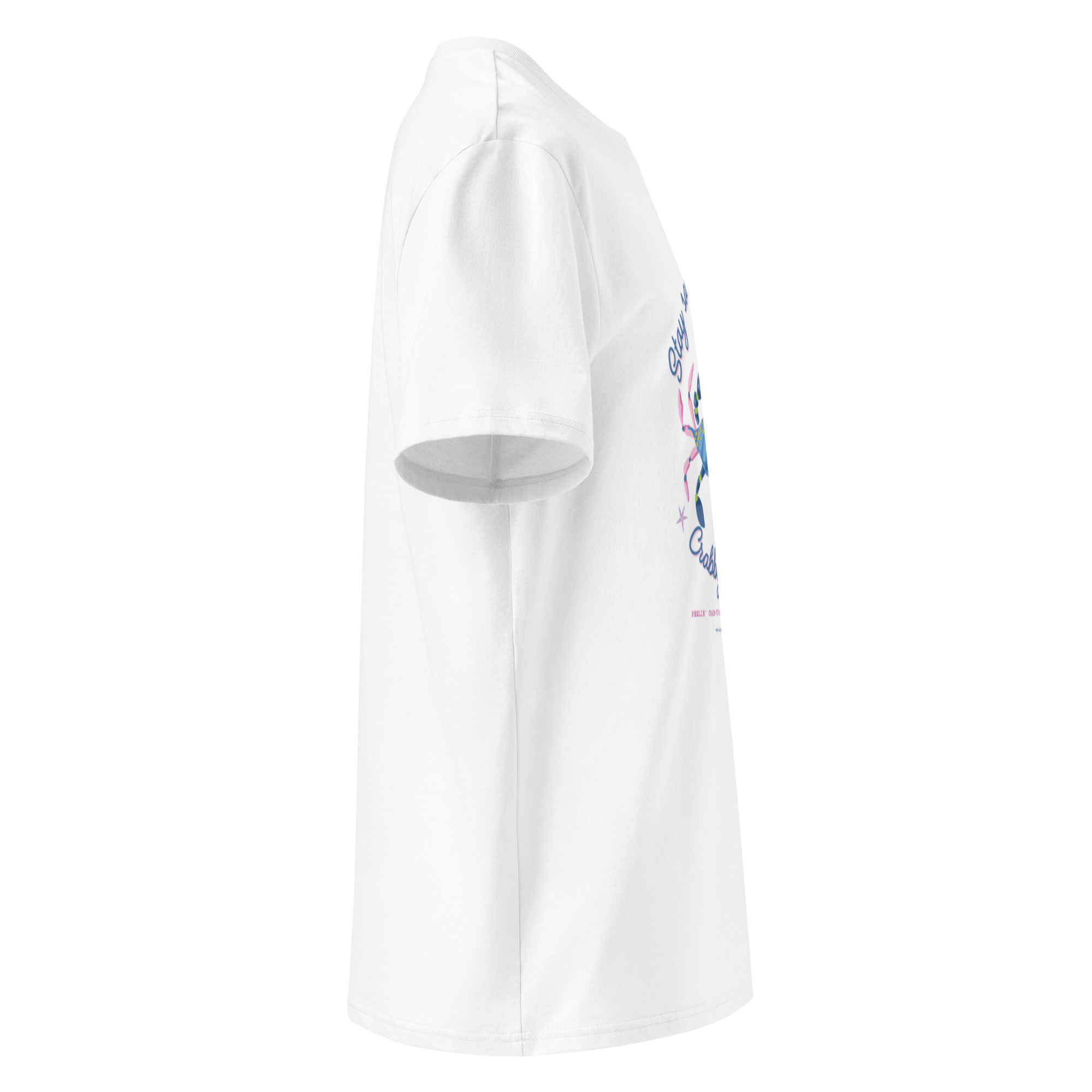 unisex-organic-cotton-t-shirt-white-right-69598b95ab02e.jpg