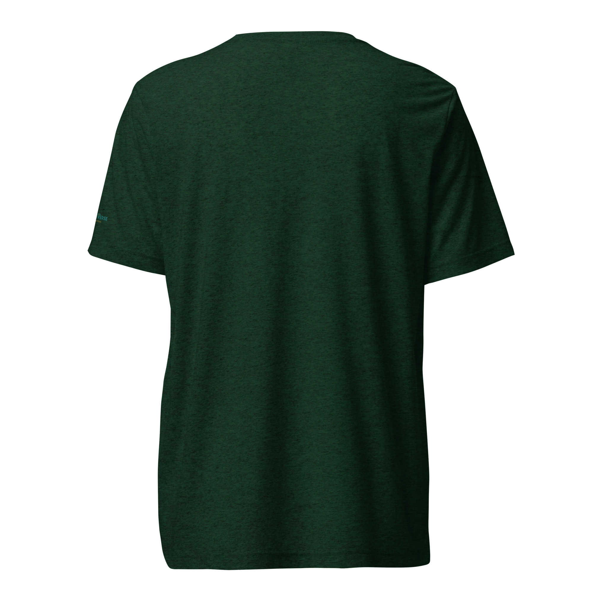 unisex-tri-blend-t-shirt-emerald-triblend-back-69581c2ad6d8d.jpg