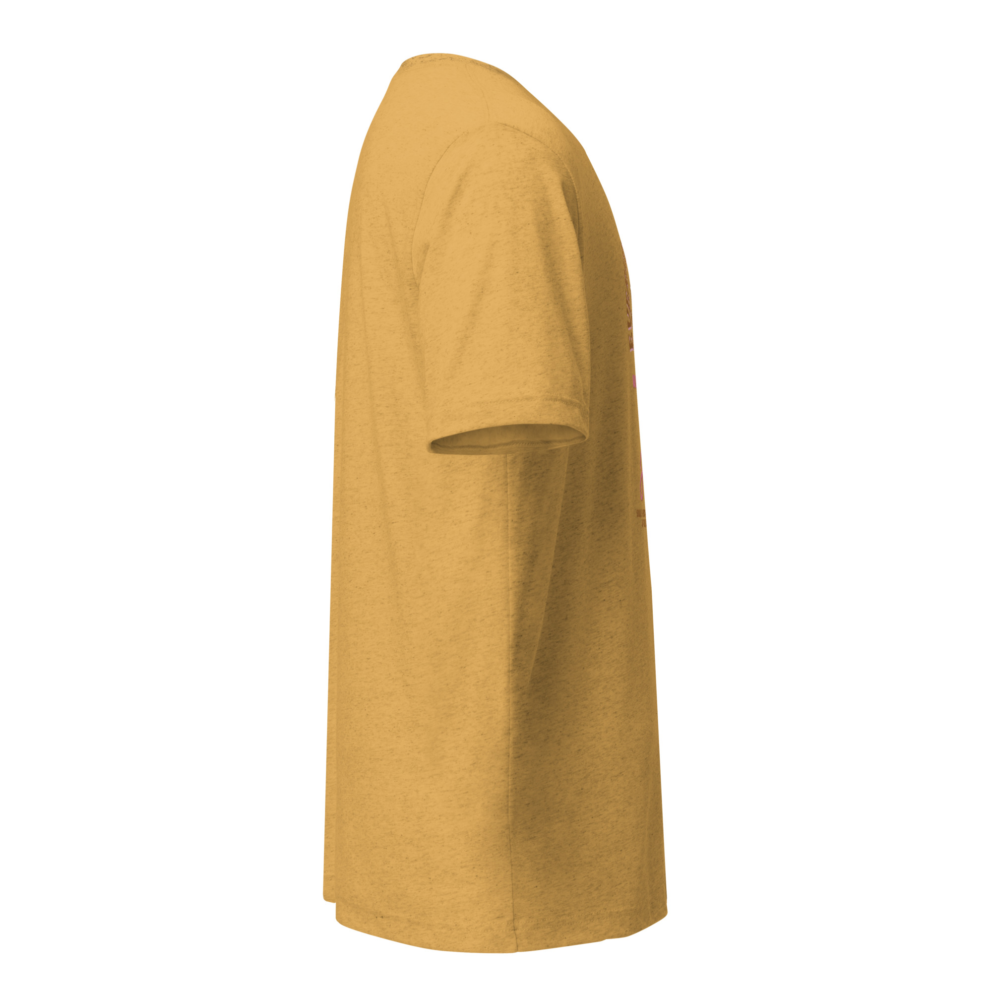 unisex-tri-blend-t-shirt-mustard-triblend-right-695817751e53d.jpg