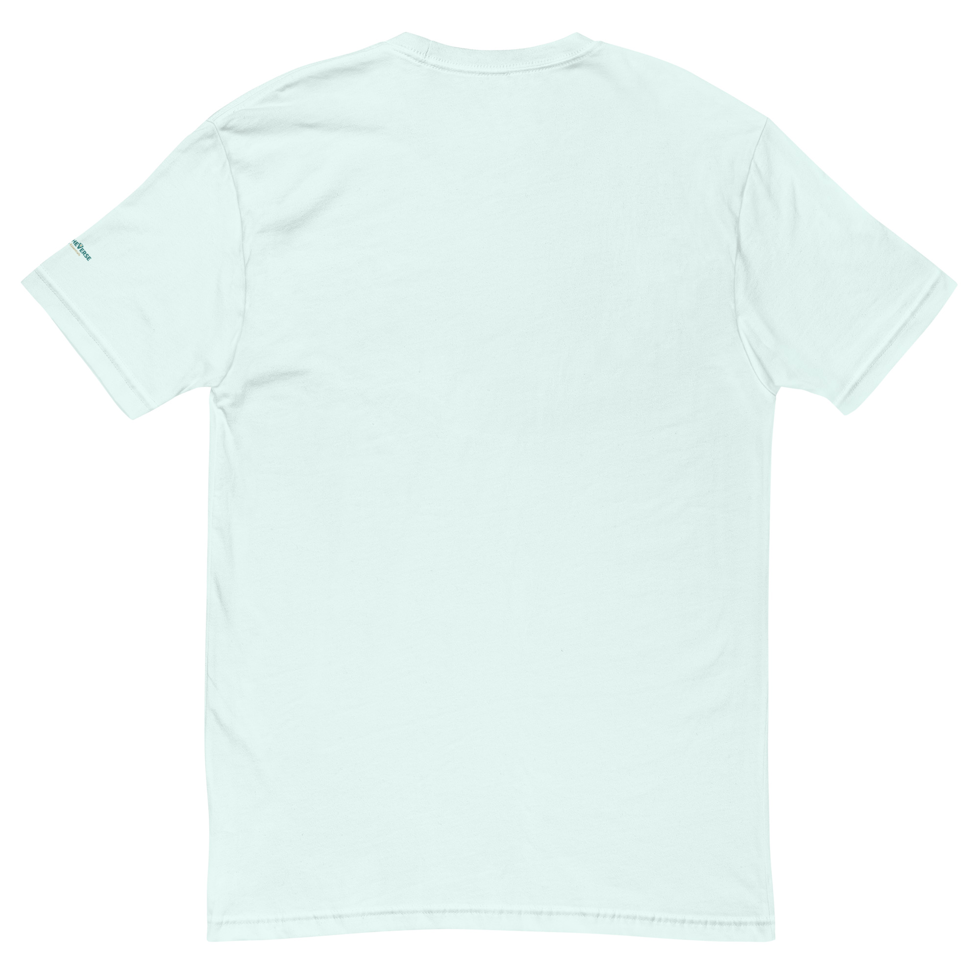 mens-fitted-t-shirt-light-blue-back-69e1588d11a2e.jpg