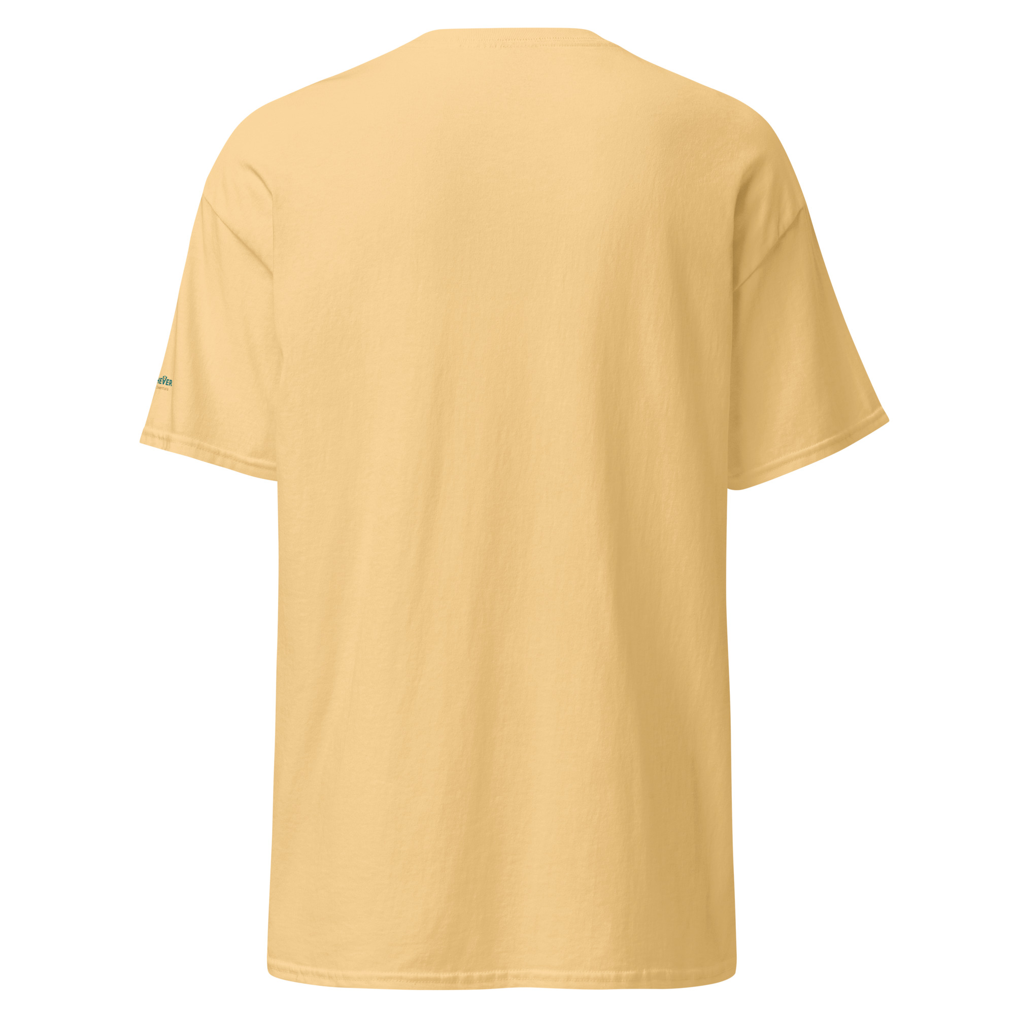 unisex-classic-tee-yellow-haze-back-69f2675989129.jpg