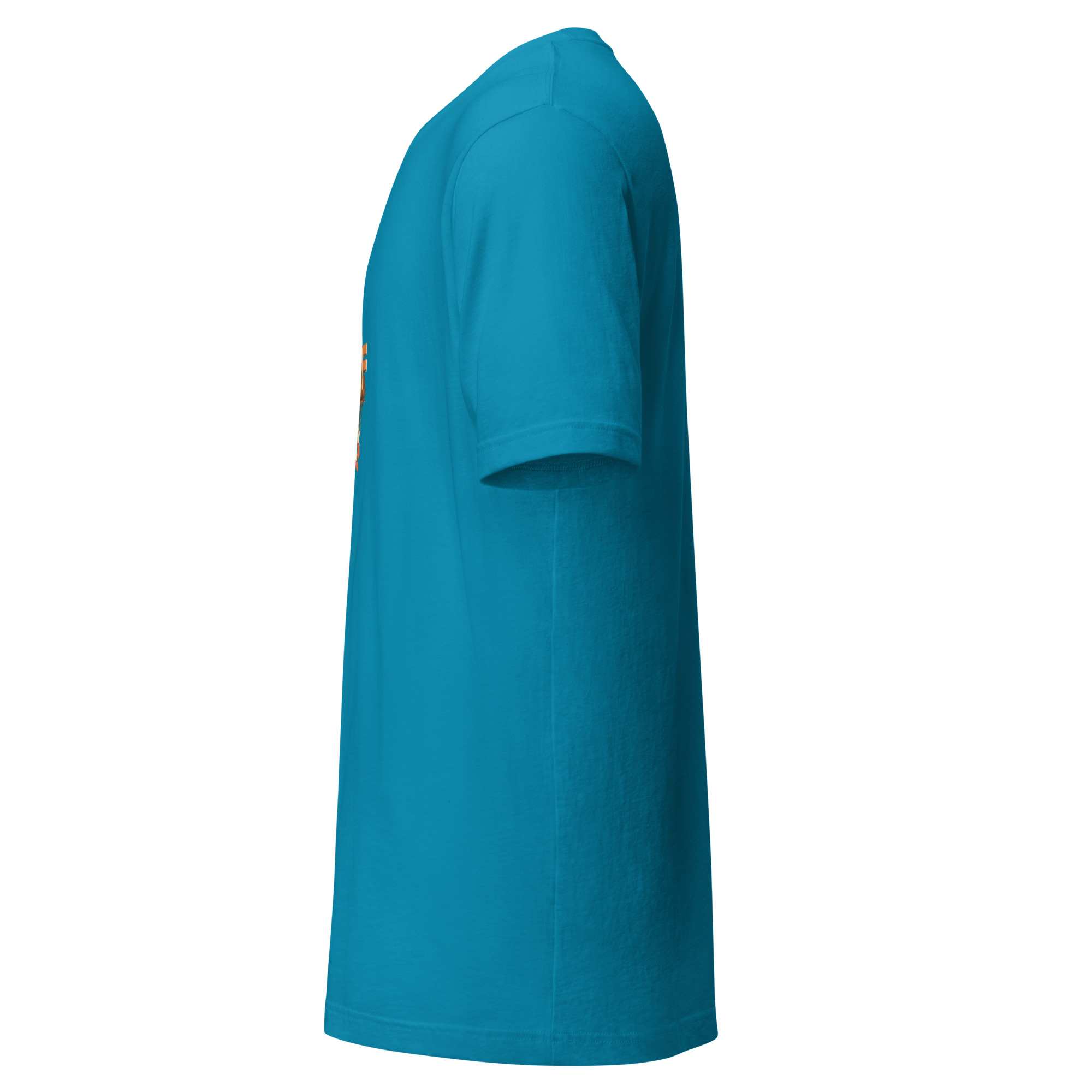 unisex-staple-t-shirt-aqua-left-69f2615d8acd8.jpg